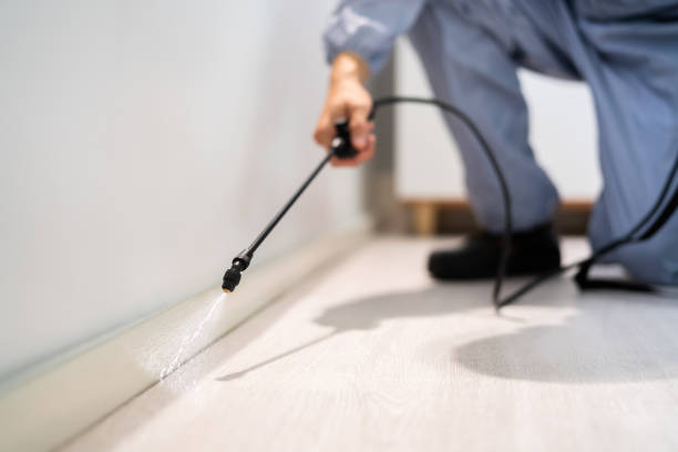 Rodent Entry Point Assessment in Sierra View