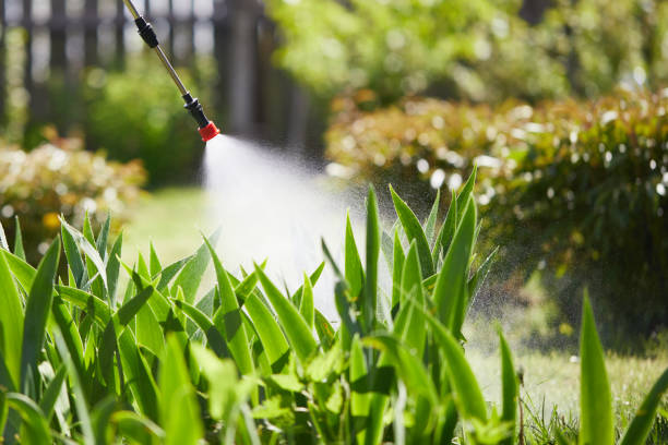 Tamper-Resistant Bait Stations for Rodents in Sierra View