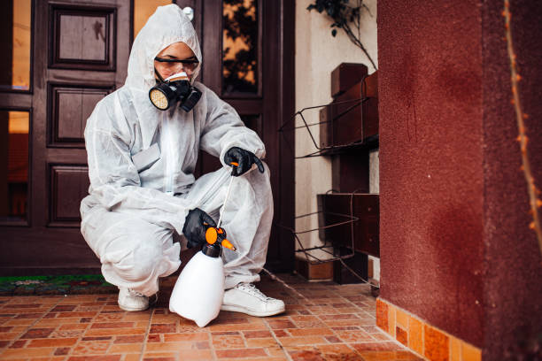 Attic and Crawl Space Rodent Treatment in Sierra View